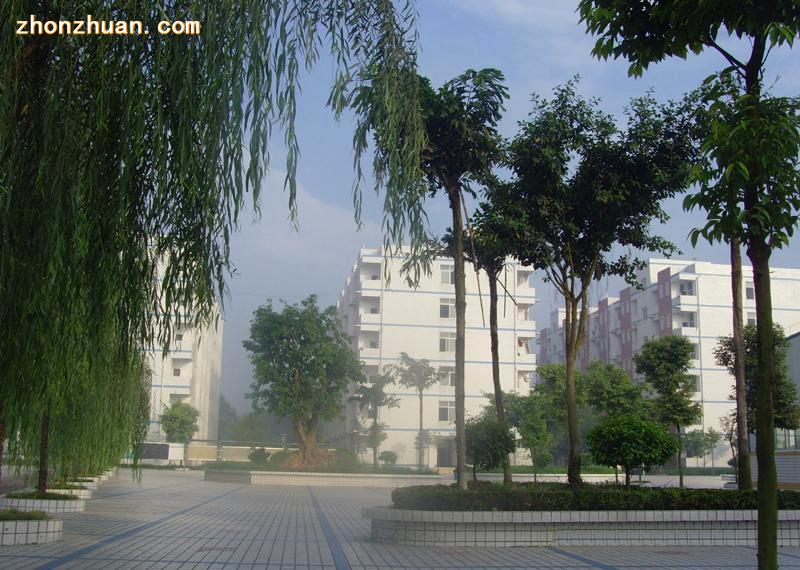 指南针幼师学校-学校环境