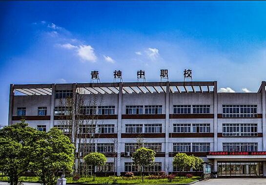 开云kaiyun(中国)省青神中等职业技术学校