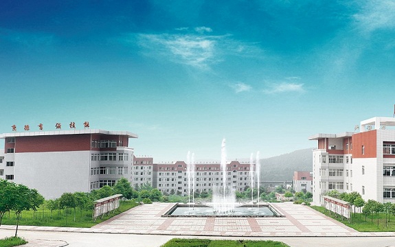 开云kaiyun(中国)汽车职业技术学院
