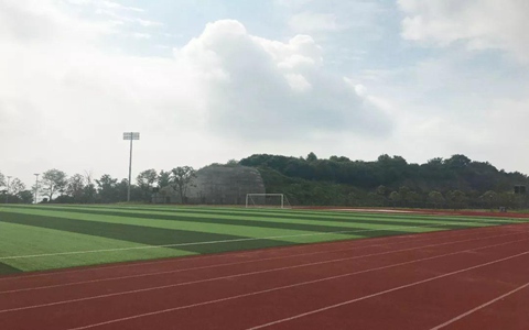 云南体育运动职业技术学院五年制大专2021年招生计划