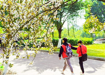 长春中医药大学招生录取分数线