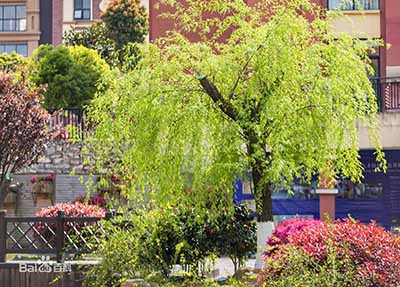 海南省卫生学校学校环境怎么样与寝室宿舍好不好