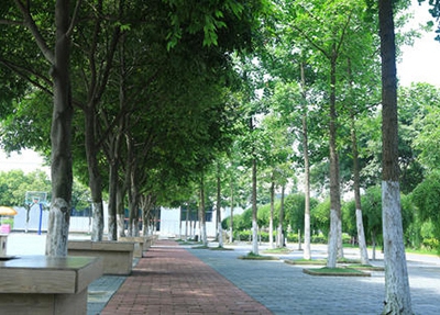 海南医学院网站网址联系方式