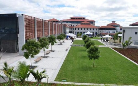 临沧市农业学校茶叶生产与加工专业简介