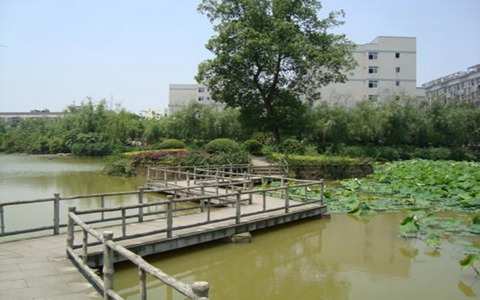 楚雄民族中等专业学校界面设计与制作专业简介