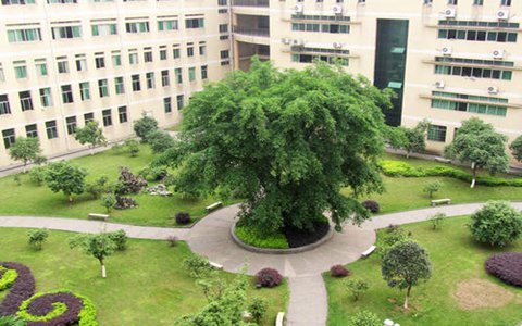重庆旅游职业学院园林技术专业介绍