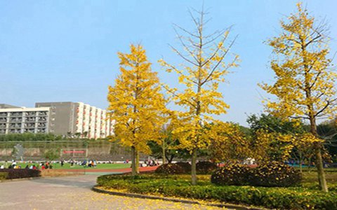 陕西航空乘务学校
