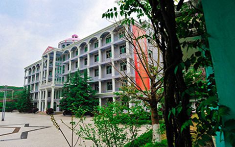 武汉电力职业技术学院哪些专业比较热门