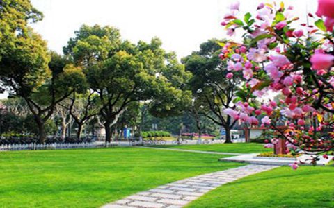 普宁新世界中英文学校2021年招生简章