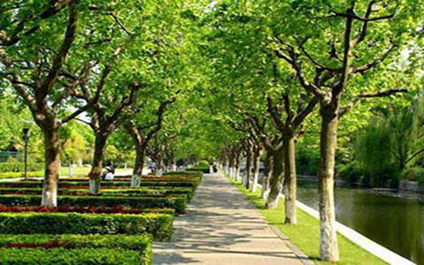 山西省经贸学校有什么专业？