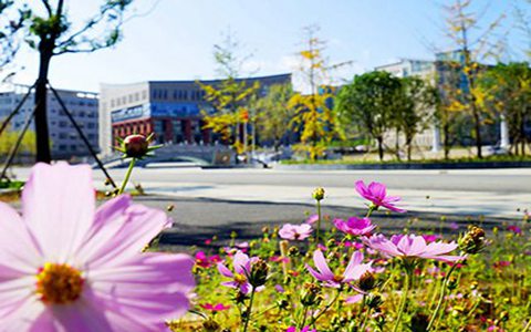 荆门航空空乘学校开设专业都有哪些