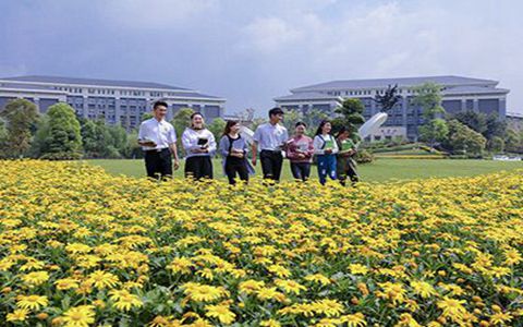 南宁市第三职业技术学校专业介绍