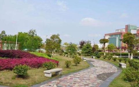 湖北省医药学校康复治疗这个专业好不好专业就业怎么样