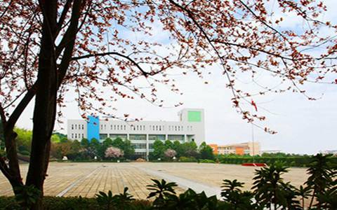 达县亭子职业高级中学热门专业有哪些