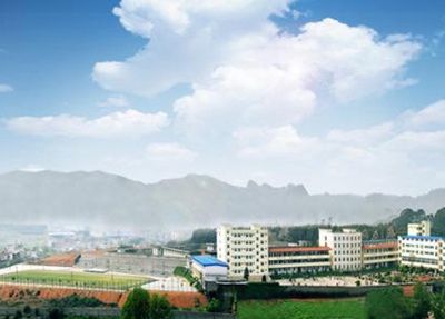 开云kaiyun(中国)师范大学幼师学院五年制大专专业介绍