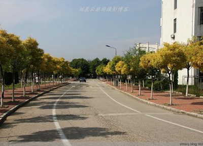 绍兴市职业教育中心录取分数线