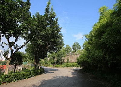 石家庄市交通技工学校