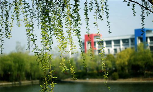 紫云自治县民族职业技术中学(模具设计与制造专业)介绍