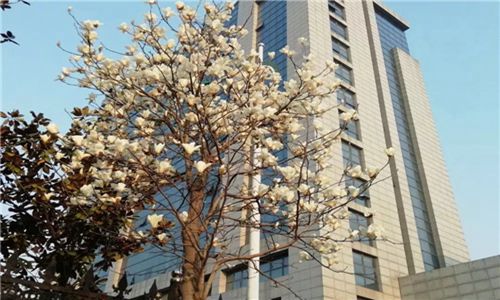 黔西南民族师范高等专科学校2022年一年学费多少