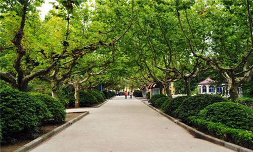桂阳县职业技术教育学校学校是不是热门学校