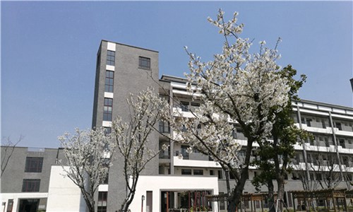 金沙县中等职业学校(早期教育专业)介绍