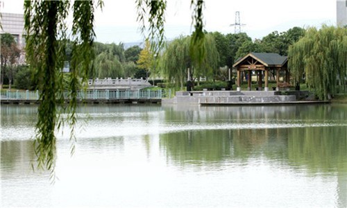 威宁自治县中等职业学校(舞蹈学专业)介绍