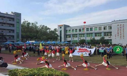 大理州财贸学校招生专业有哪些
