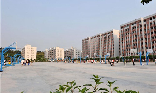 织金县精诚中等职业学校(小学教育专业)介绍