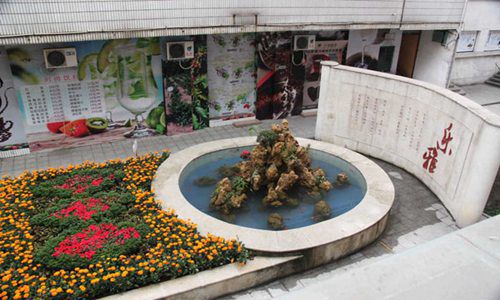 河南经贸职业学院空中乘务专业介绍