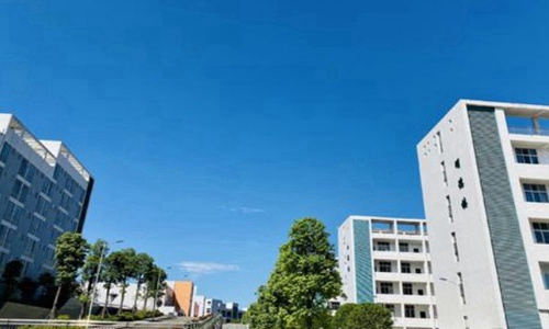 重庆市工艺美术学校民间传统工艺专业介绍