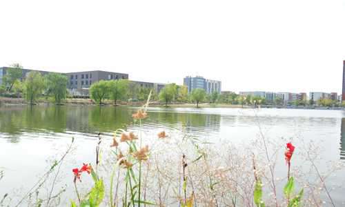 广西体育高等专科学校市场营销专业介绍