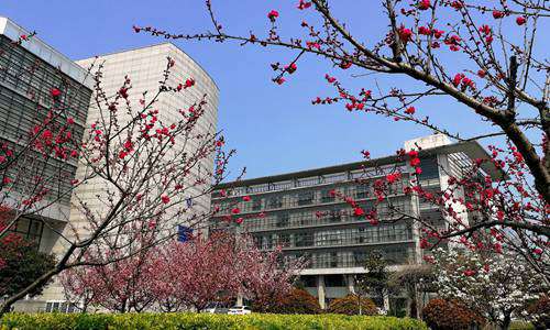 中州大学计算机网络技术专业介绍
