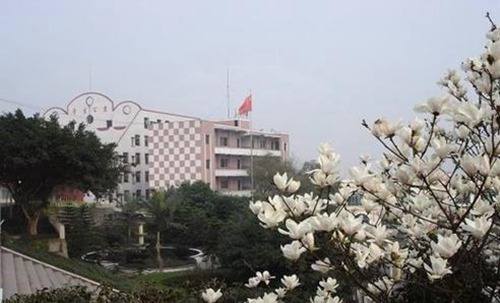 重庆市垫江县第二职业中学校2022年学费多少？贵吗？