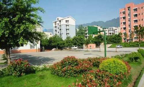 贵阳市护理职业学院中药学专业设有哪些主要课程