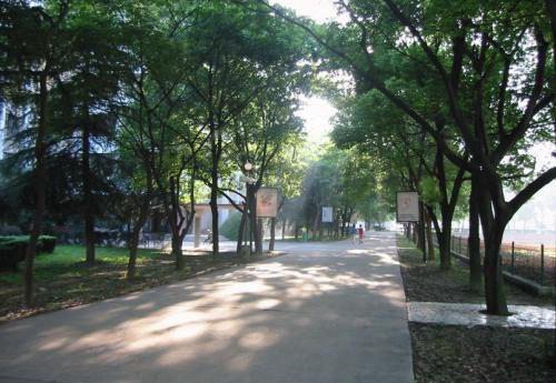 重庆园林技工学校2022年报名条件是什么