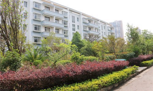 重庆市梁平职业教育中心航空服务专业介绍