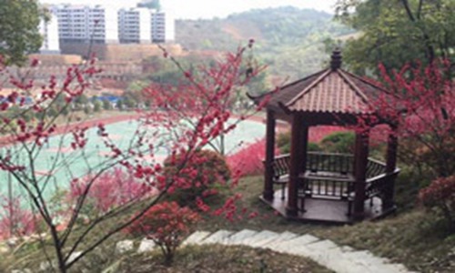 邵阳市交通中等职业技术学校