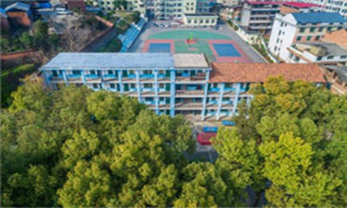 湖南鸿翔学校