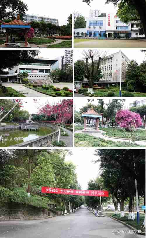 重庆知行卫生学校优势