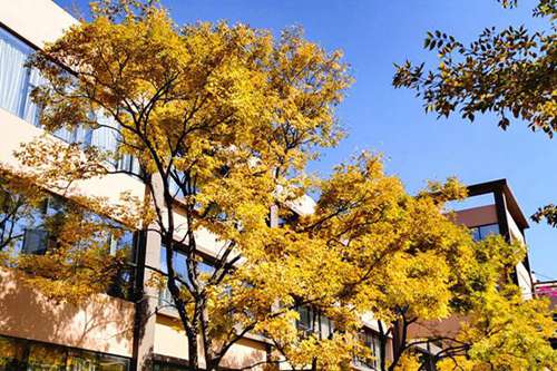 邢台财贸学校是不是热门学校