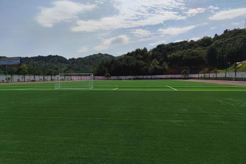 秦皇岛奇石艺术学校2022年招生录取分数线
