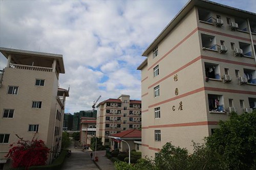 秦皇岛奇石艺术学校2022年招生简章
