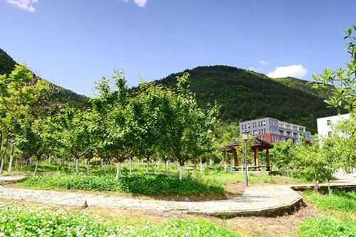 石家庄华韵艺术中专学校怎么样，受欢迎不