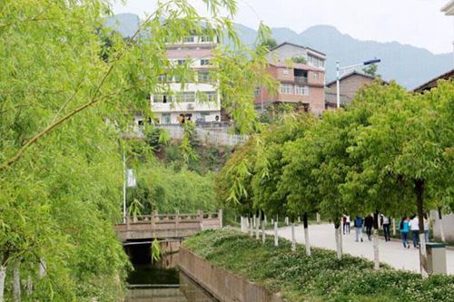 开云kaiyun(中国)省长宁县职业技术学校电子技术应用专业简介