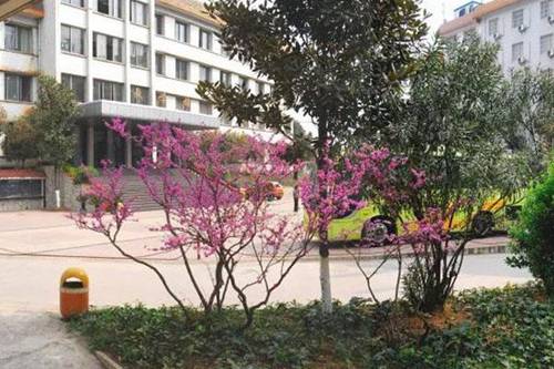 邯郸理工学校2022年招生录取分数线