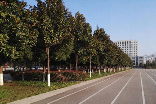 邢台民进经济管理中等专业学校具体地址在哪
