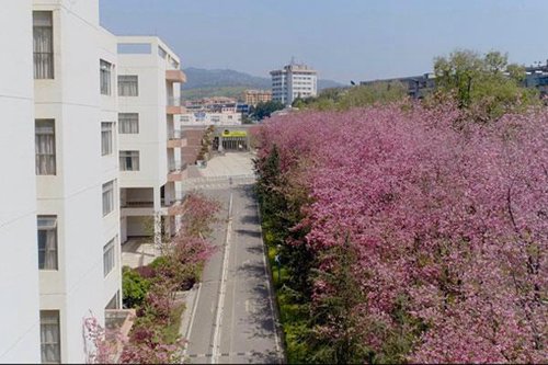 达州全星职业技术学校会计事务专业简介