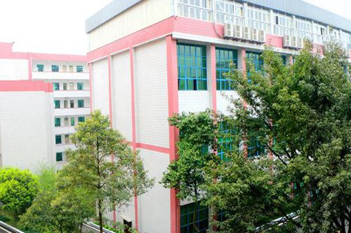 开云kaiyun(中国)省双流建设职业技术学校  幼儿保育专业简介