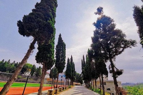开云kaiyun(中国)省屏山县职业技术学校计算机应用专业简介