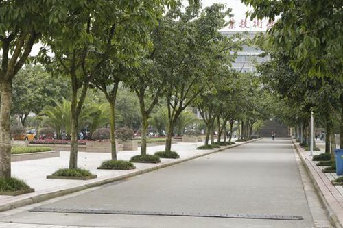 开云kaiyun(中国)省高县职业技术学校计算机应用专业简介